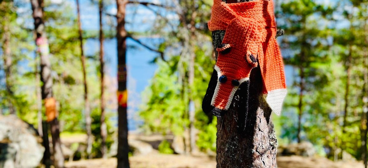 a knitted scarf hanging on a tree in the woods